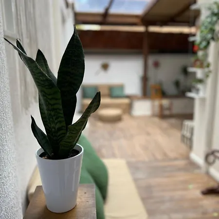 Hostel Trip'n'hostel Chill Zone Τίρανα